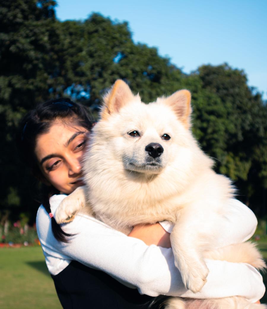 A person holding their white Spitz dog in a park